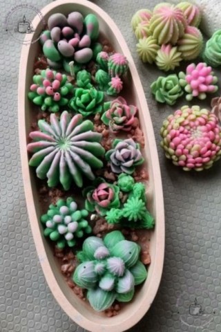 Bougies Cactus Coulées Parfumées